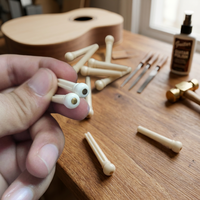 Cordes de guitare non rainurées avec chevilles en os, compatibles avec le modèle de guitare MS0122, ensemble de 6 pièces