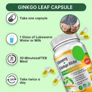  OEM Ginkgo Biloba 500mg capsule supporta la funzione di memoria cerebrale salute Ginkgo Leaf Panax Ginseng capsule