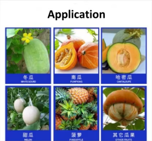 Single and Double Head <b>Fruit</b> & <b>Vegetable</b> Peeling <b>Machine</b> for Watermelon & Cantaloupe Peeling - Product Image 4