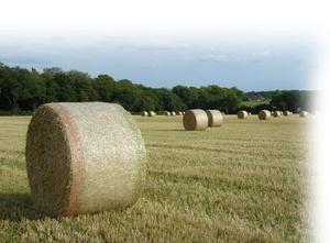 Hay <span class=keywords><strong>Net</strong></span> bọc cho Ủ Chua baling cường độ cao cho vòng baling HDPE nhựa <span class=keywords><strong>Bale</strong></span> <span class=keywords><strong>Net</strong></span> bọc - Product Image 6