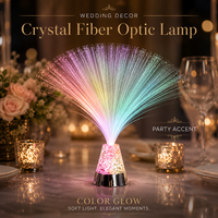 Lampe de table décorative LED à fibre optique de 13 pouces, à changement de couleur RGB, pour chambre à coucher, fonctionnant sur piles AAA, avec commande par interrupteur, pour fêtes et événements