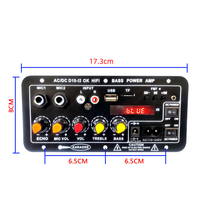 Amplificateur audio de voiture avec son super clair, coque en fer noir, circuit imprimé D10II, radio BT, USB, TF, double microphone, télécommande