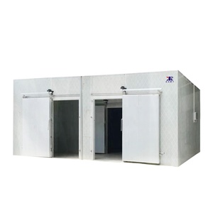 Phòng Đông Lạnh 20ft Lưu Trữ Container Di Động Tủ Lạnh Cho Cá Rau Quả <span class=keywords><strong>Ice</strong></span> Cream Walk Trong Tủ Đông - Product Image 2