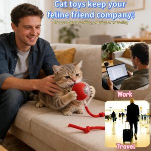 Balle interactive électrique intelligente pour chat, avec appels d'oiseaux, jouet roulant pour animaux de compagnie, jouets de mouvement interactifs pour animaux, en promotion - Product Image 5