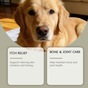 Masticables Multivitamínicos para Perros con Sabor a Pollo, Probióticos, Golosinas Diarias para el Bienestar de las Mascotas - Product Image 4