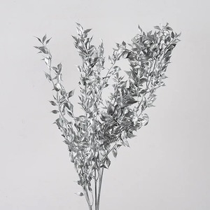Ruscus italiano per la decorazione <span class=keywords><strong>fiori</strong></span> ricchi grandi <span class=keywords><strong>fiori</strong></span> secchi alti <span class=keywords><strong>fiori</strong></span> secchi bianchi Ruscus italiano - Product Image 6