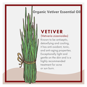 <span class=keywords><strong>Huile</strong></span> <span class=keywords><strong>essentielle</strong></span> <span class=keywords><strong>de</strong></span> <span class=keywords><strong>vétiver</strong></span> végétal 100% pure <span class=keywords><strong>de</strong></span> marque privée, <span class=keywords><strong>huile</strong></span> <span class=keywords><strong>de</strong></span> massage revitalisante pour la peau, soin des vergetures pour femmes - Product Image 6