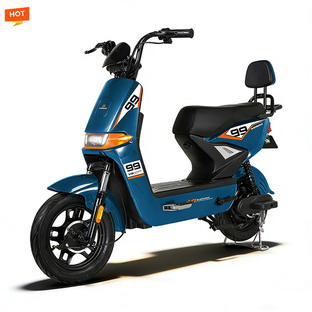Factory Direct Sales of High-quality Electric Scooters with 800W-1000W Motors Supporting Wholesale and Retail