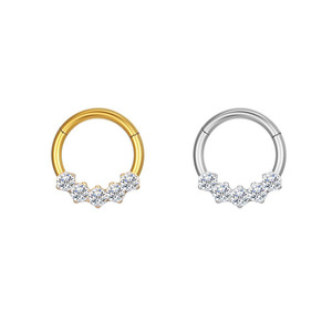 Boucles d'oreilles pendantes tendance en titane de qualité implantable, bijoux corporels, labrets à poussoir, boucles d'oreilles pendantes, anneaux de nez segmentés pour femmes - Product Image 4