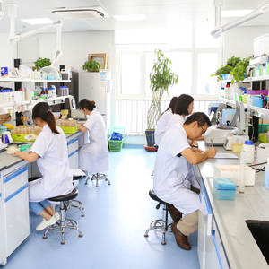 Sulfato de Etileno de Alta Pureza (98%), Cas 1072-53-3, en Polvo, Aditivo para Electrolitos de Baterías - Product Image 5