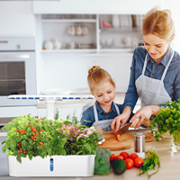 Système de jardinage intelligent IGS-61, kit de culture hydroponique d'intérieur avec éclairage LED, pots et jardinières électroniques intelligents pour usage domestique