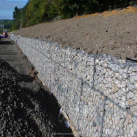 Grillage Gabion en Fil de Fer Galvanisé à Chaud Tressé, Revêtement PVC, Motif Diamant, pour Mur de Soutènement et Jardinage KaKing