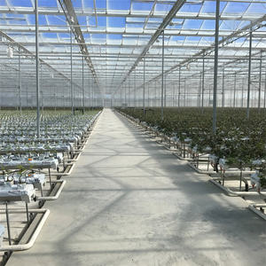 <span class=keywords><strong>Kit</strong></span> de structure de serre 30 x 50 Serre <span class=keywords><strong>en</strong></span> verre - Product Image 4