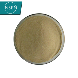 Matière première d'additif alimentaire extrait de levure en poudre - Product Image 1