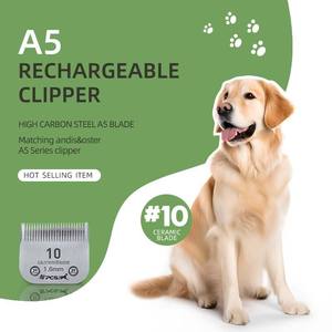 Tondeuses à cheveux pour animaux de compagnie à lame A5 rechargeable personnalisée 4 pièces tondeuse professionnelle pour chiens tondeuse à cheveux électrique sans fil pour animaux de compagnie - Product Image 4