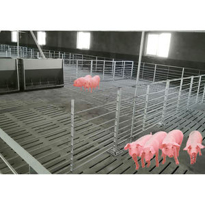 Vente en gros de nouveaux enclos d'engraissement pour porcs HENGYIN HY-fatten, en acier galvanisé à chaud, garantie 1 an, ensemble complet de cages pour porcs - Product Image 3