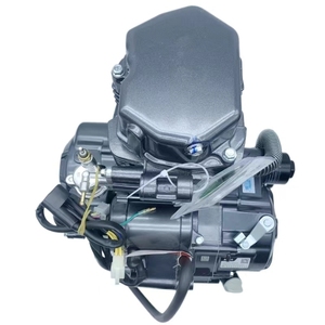 Factory CG200 Water-Cooled Single Cylinder 4-Stroke 5 Gears Three-wheeled Dirt <b>Bike</b> Motorcycle 200cc <b>Engine</b> Cg250 Engin - Product Image 6