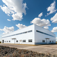 Kits de Construcción de Almacenes de Acero Prefabricados, Estructura Metálica Industrial de Almacenamiento de Gran Envergadura