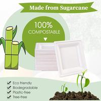 Vaisselle jetable personnalisée en canne à sucre, compatible micro-ondes, assiette carrée compostable et biodégradable en bagasse de 10 pouces