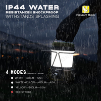 Lampes de camping de haute qualité Bright Bird, OEM personnalisé, lanterne LED haute puissance, température de couleur double, gradation, indice de protection IP44, CE