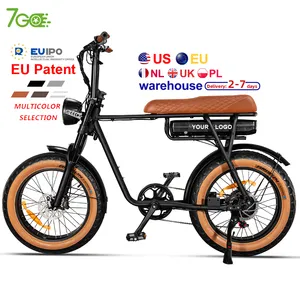 EU USA warehouse e-bike 750W 1000W Fat tire Electric Mountain Bike for Adult Dirt Electric bicycle