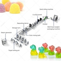 Production de dépôts de bonbons Para Hacer Gomitas Bonbon Maquina Hard Jelly Gummy Bear Make Machine Product Line