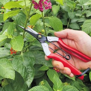 Kéo tỉa hoa, kéo cắt tỉa cây cảnh, kéo cắt cành thẳng, cán dài, bán chạy, hàng OEM - Product Image 4