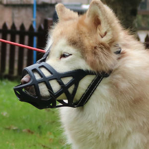 경량 부드럽고 유연한 개 총구 충격 방지 내마모성 기능 방수 쉬운 청소 새로운 만화 디자인 애완 동물 제품 - Product Image 1