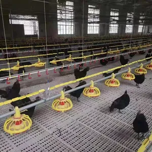 Tavuk besleyici Pan tepsisi 15 ızgara besleme hattı sistemi ekipmanları