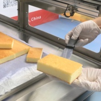Machine de découpe alimentaire ultrasonique servo pour la découpe de portions de gâteaux congelés, avec nettoyage automatique, en acier inoxydable, pour la sécurité et la transformation en boulangerie