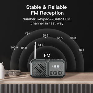 Shidu xách tay nhà retro phong cách Bluetooth loa cổ điển đặc biệt chất lượng âm thanh FM Đài phát thanh loa - Product Image 3