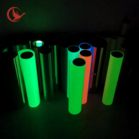 Film PET DTF Luminescent pour Transfert Thermique, Souple, 30cm 60cm 100m en Rouleaux, Brille dans le Noir pour Autocollants et Impression de T-shirts
