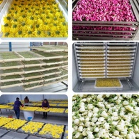 Industriële dehydrator met grote capaciteit, multifunctioneel, voor okra, gember en andere voedingsmiddelen, inclusief droogrekken.