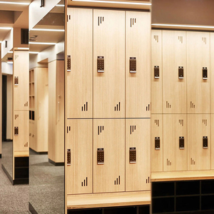 Công Nghệ Cao Thể Thao Hiện Đại Phòng Tập Thể Dục Tủ Lưu Trữ Tủ Trường Kim Loại <span class=keywords><strong>Locker</strong></span> Thép Tủ Quần Áo Nhân Viên Trượt Tuyết Dốc Tủ Khóa - Product Image 2