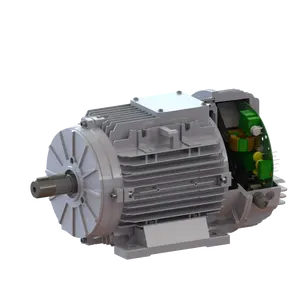 Motori ad alta tensione EC/PMSM per la zootecnia ventilatore assiale inverter motore integrato per ventola di scarico ad alta efficienza