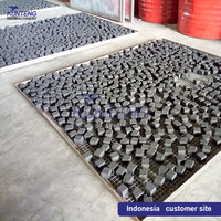 Four de séchage de charbon comprimé pour équipement de séchage de briquettes Machine de séchage de briquettes de charbon de bois