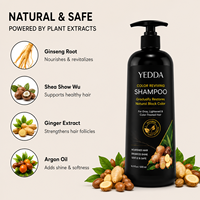 Lotion colorante capillaire noire 5-en-1 biologique à base de plantes, formule naturelle 500ml, pour marque privée, idéale pour couvrir les cheveux blancs