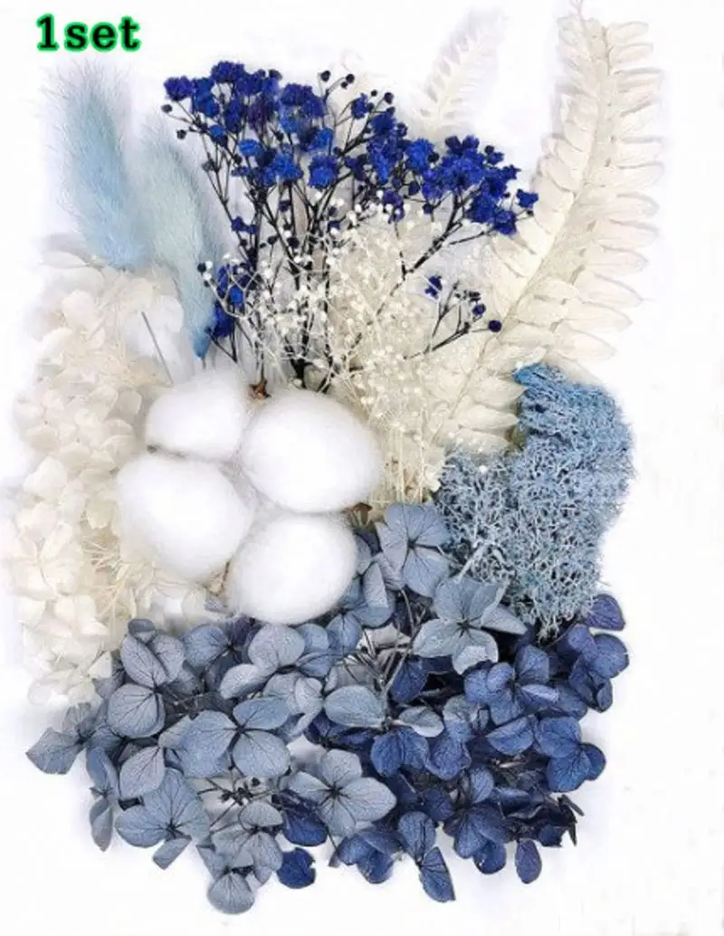 सूखे फूल, मिश्रित मिश्रित किस्म पैक असली सूखे फूल मिश्रित पुष्प थोक नीले सफेद मातृ दिवस चीनी नव वर्ष ईस्टर कला