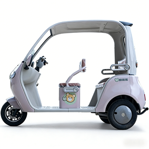 Tricycle électrique à carrosserie ouverte à <span class=keywords><strong>bas</strong></span> prix, 650W, pour adultes, 3 places, vitesse maximale de 35 km/h - Product Image 5