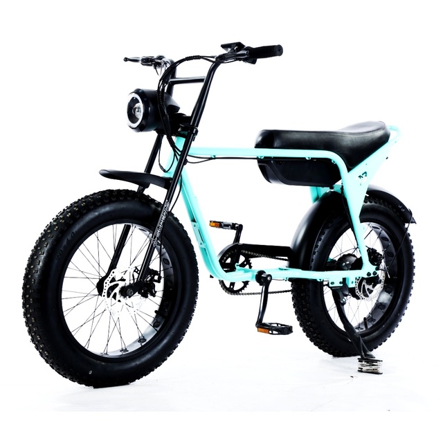 Electric Hybrid Bike Z1 ZX Retro Vintage 20 Inch Fat Tire 48V 750W-1000W Rear Hub Motor Steel Frame Lithium Long Range E-Bike