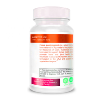 Supply 500mg Cissus Quadrangularis Capsule d'extrait Suppléments à base de plantes Cissus Quadrangularis L Cissus Quadrangularis Capsule