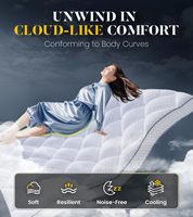 Housse de Matelas Lavable en Mousse Fraîcheur Grand Lit Double Rembourrée, Protège-Matelas Doublure, Surmatelas en Mousse à Mémoire de Forme Démoulée pour Matelas