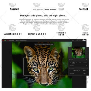 <span class=keywords><strong>Topaz</strong></span> <span class=keywords><strong>AI</strong></span> Pro series ชุดใหม่ 3 ชิ้น สำหรับปรับภาพวิดีโอและภาพถ่ายให้คมชัด ซ่อมแซมภาพอย่างชัดเจน ไม่ทำลายภาพ ขยายภาพ ลดเสียงรบกวน และเพิ่มความคมชัด - Product Image 4
