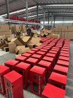 Armoires anti-feu en acier au carbone personnalisables, directement de l'usine ; disponibles avec fenêtres de visualisation et des modèles à double porte.