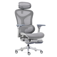 Chaise de bureau ergonomique moderne avec accoudoirs réglables 6D, soutien lombaire réglable, chaise de direction en maille respirante, certifiée classe 4