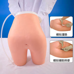 Menselijke Patiëntensimulatoren Die Manikins Klysma En Ondersteunde Ontlasting Trainen Medisch Onderwijsmodel - Product Image 3