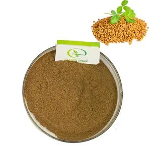 Haccp factory top quality best price wholesale fenugreek seed extract trigonelline powder