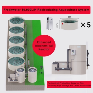 โซลูชั่นระบบ RAS ที่ครอบคลุมปรับแต่งได้แบบ Dayu สำหรับการเลี้ยงปลาที่มีประสิทธิภาพ - Product Image 3