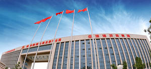 สกู๊ตเตอร์ไฟฟ้าสำหรับผู้ใหญ่ยี่ห้อซงเซิน แบรนด์ดัง ได้รับความนิยมในตลาดอินเดีย - Product Image 5