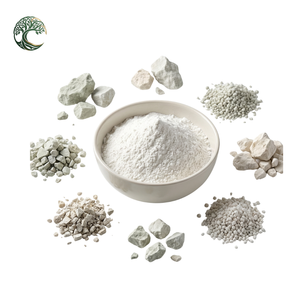 <span class=keywords><strong>Polvo</strong></span> de <span class=keywords><strong>Zeolita</strong></span> Natural de Grado Alimenticio de China |   Utilizado <span class=keywords><strong>en</strong></span> Suplementos Alimenticios Orgánicos y Bebidas Detox - Muestra Gratuita Disponible - Product Image 1